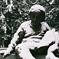 White Einstein